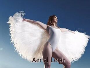 Aerial_Leigh