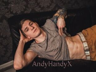 AndyHandyX