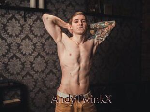 AndyTwinkX