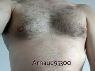 Arnaud95300