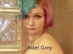 Aster_Grey