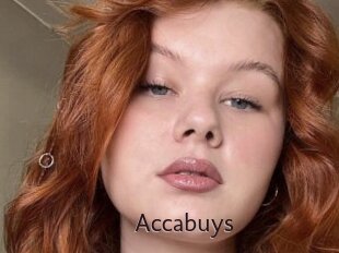 Accabuys