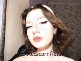 Accacornfield