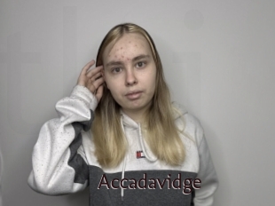 Accadavidge