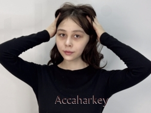 Accaharkey