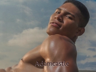 adamcastle Top listen server