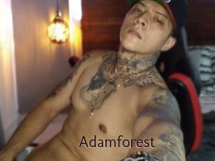 Adamforest