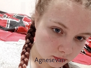 Agnesevan