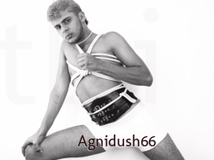 Agnidush66