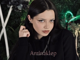 Aminaklep