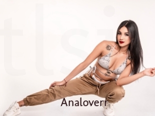 Analoverr