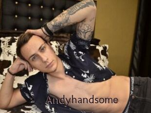 Andyhandsome