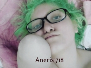 Aneris1718