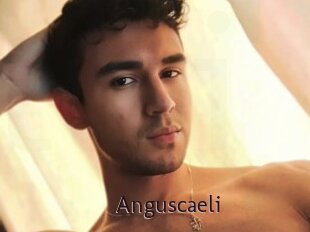 Anguscaeli