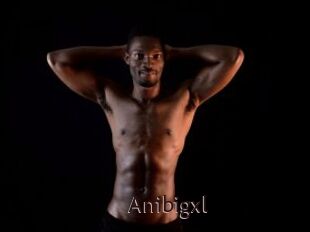 Anibigxl