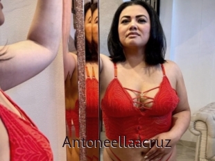 Antoneellaacruz