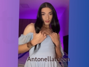 Antonellatobon