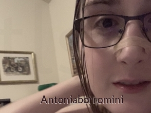 Antoniaborromini