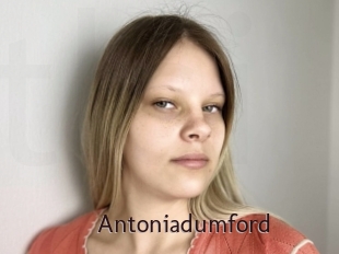 Antoniadumford