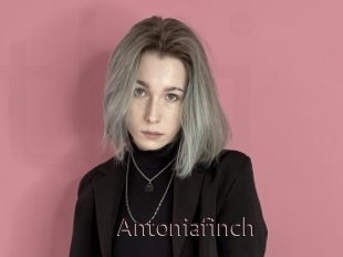 Antoniafinch