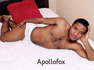 Apollofox