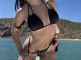 Ariafitdd