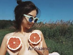 Arinaamor