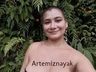 Artemiznayak