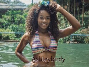 Ashleybirdy