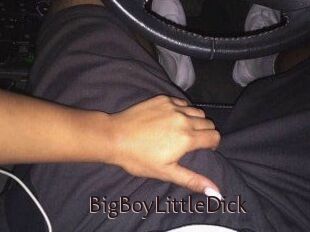 BigBoyLittleDick