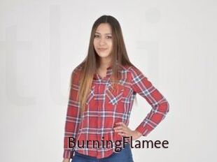 BurningFlamee