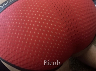 Bicub