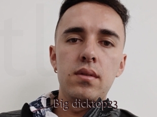 Big_dicktop23