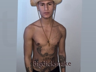 bigdicksnake Top listen server