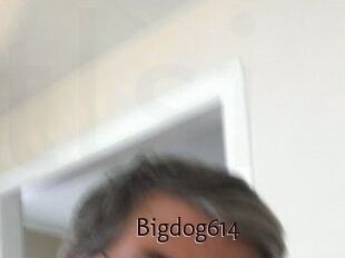 Bigdog614