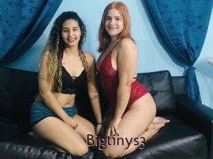 Bigtinys3