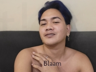 Blaam