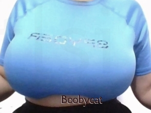 Boobycat