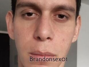 Brandonsex01
