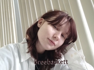 Breebaskett