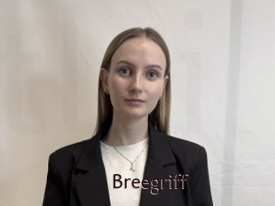 Breegriff