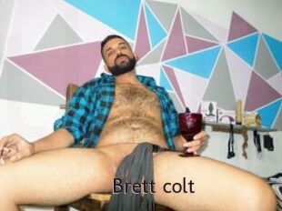 Brett_colt