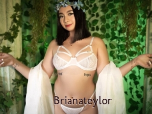 Brianateylor