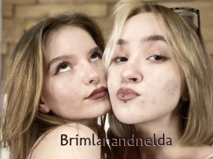 Brimlanandnelda