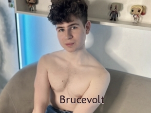 Brucevolt