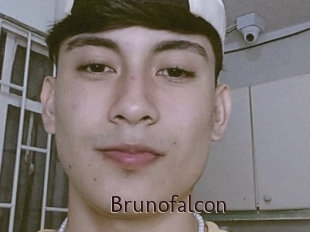 Brunofalcon