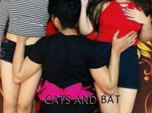 CATS_AND_BAT