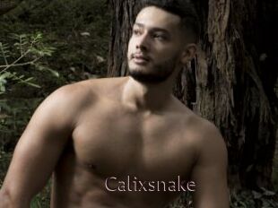 Calixsnake