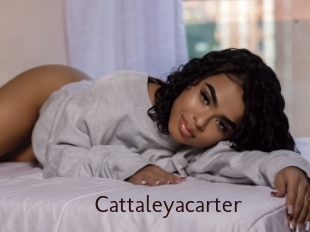 Cattaleyacarter