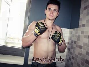 DavidVardy